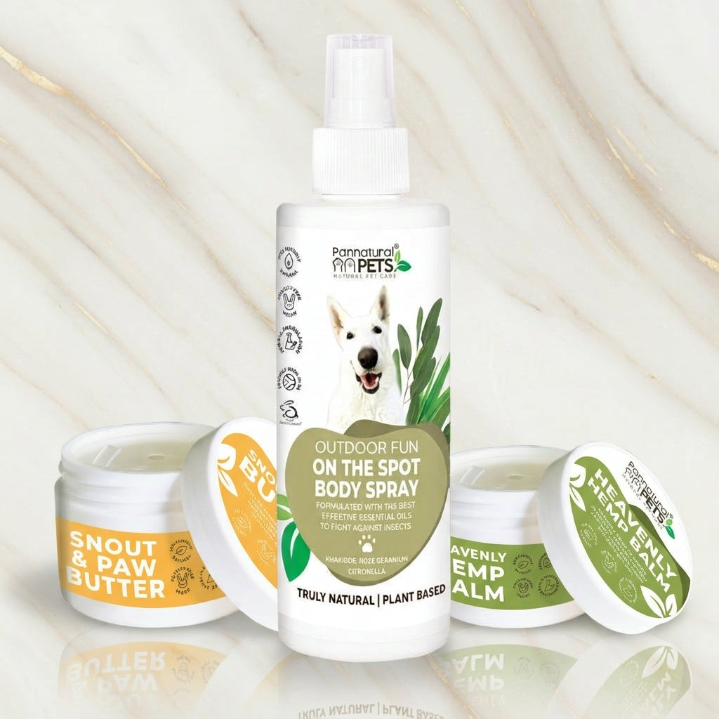 ZenEntle Quick No-Bath Pamper Kit for Dogs – Natural Grooming Bundle
