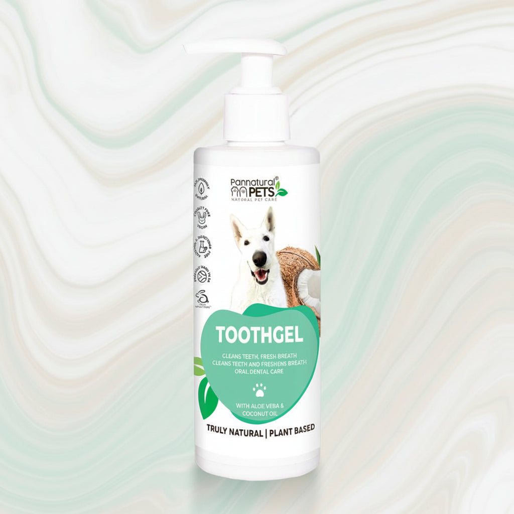 Pannatural Pets Toothbrush and Toothgel (250ml) Set